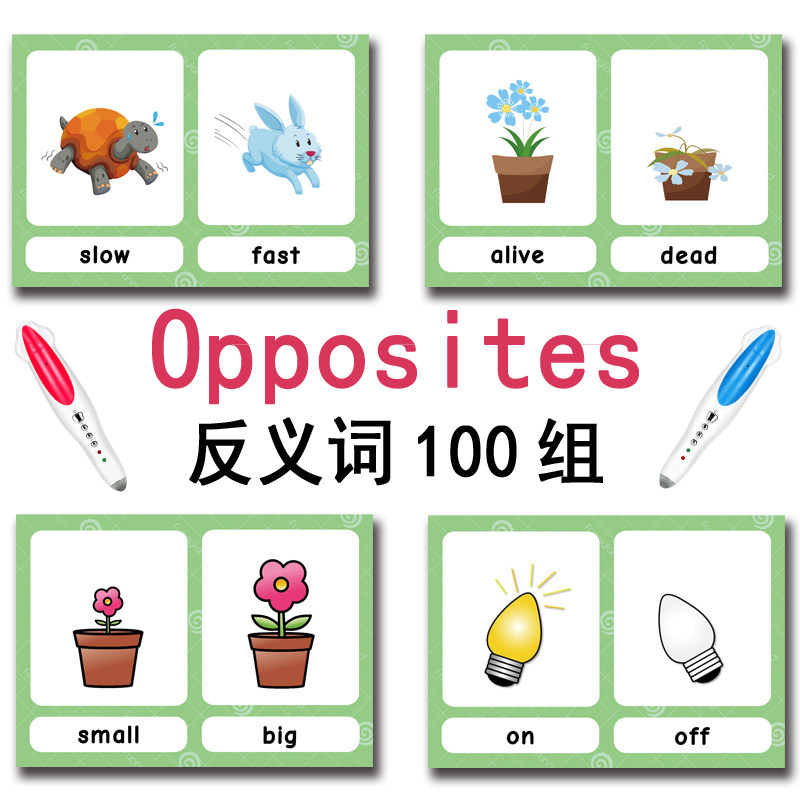 Tarjetas de memoria con 100 gr - Kids Educational Resources reseña y precio