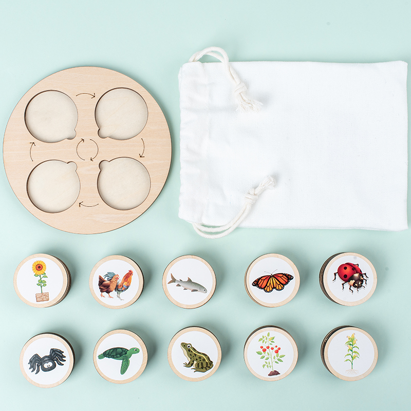 Tablero de ciclo de vida Monte - Montessori Shelf Toy reseña y precio