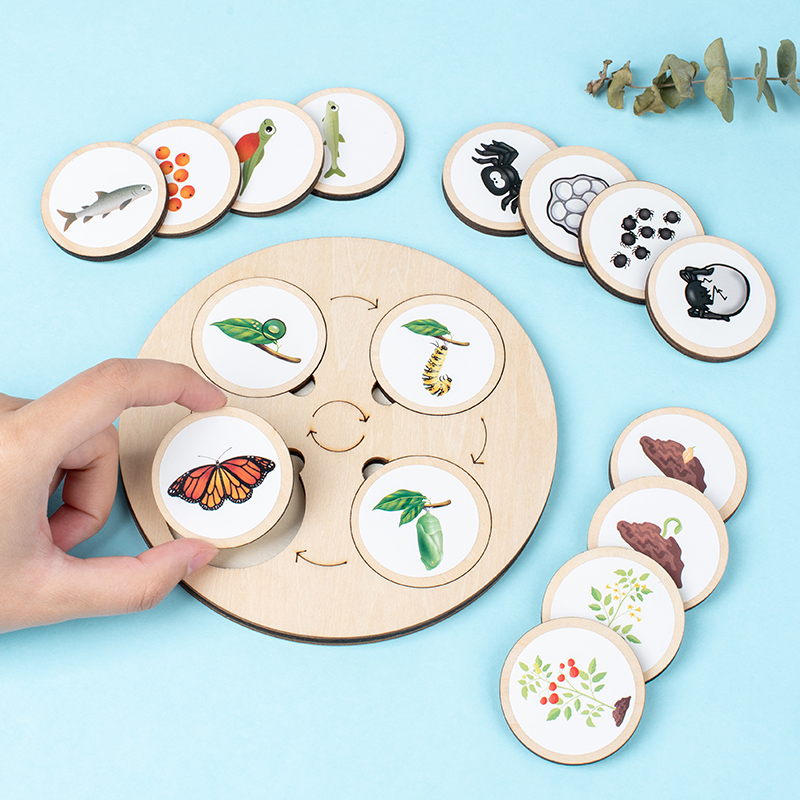 Tablero de ciclo de vida Monte - Montessori Shelf Toy reseña y precio